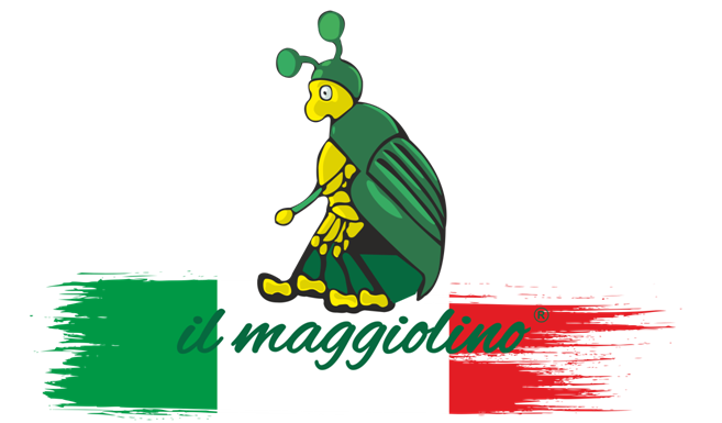 Il Maggiolino